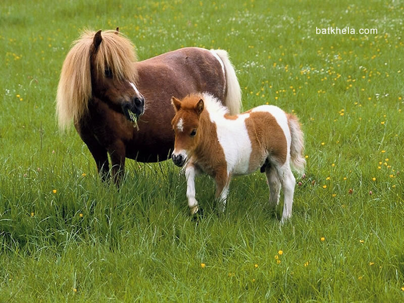 2f5da91f48_5450387_o2