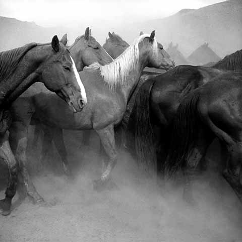 Remuda_Spanish_Ranch_1_bgp