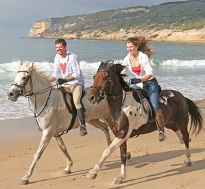 horses_on_the_beach