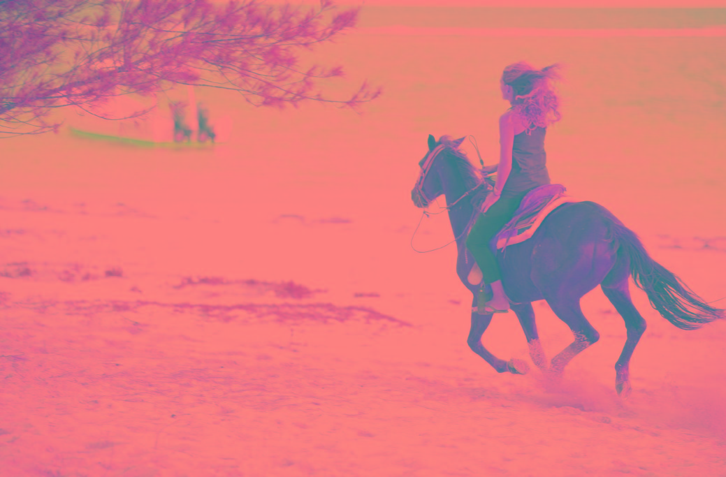 horse-tour-beach-photo