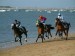 horses-racing-in-the-beach_2567619